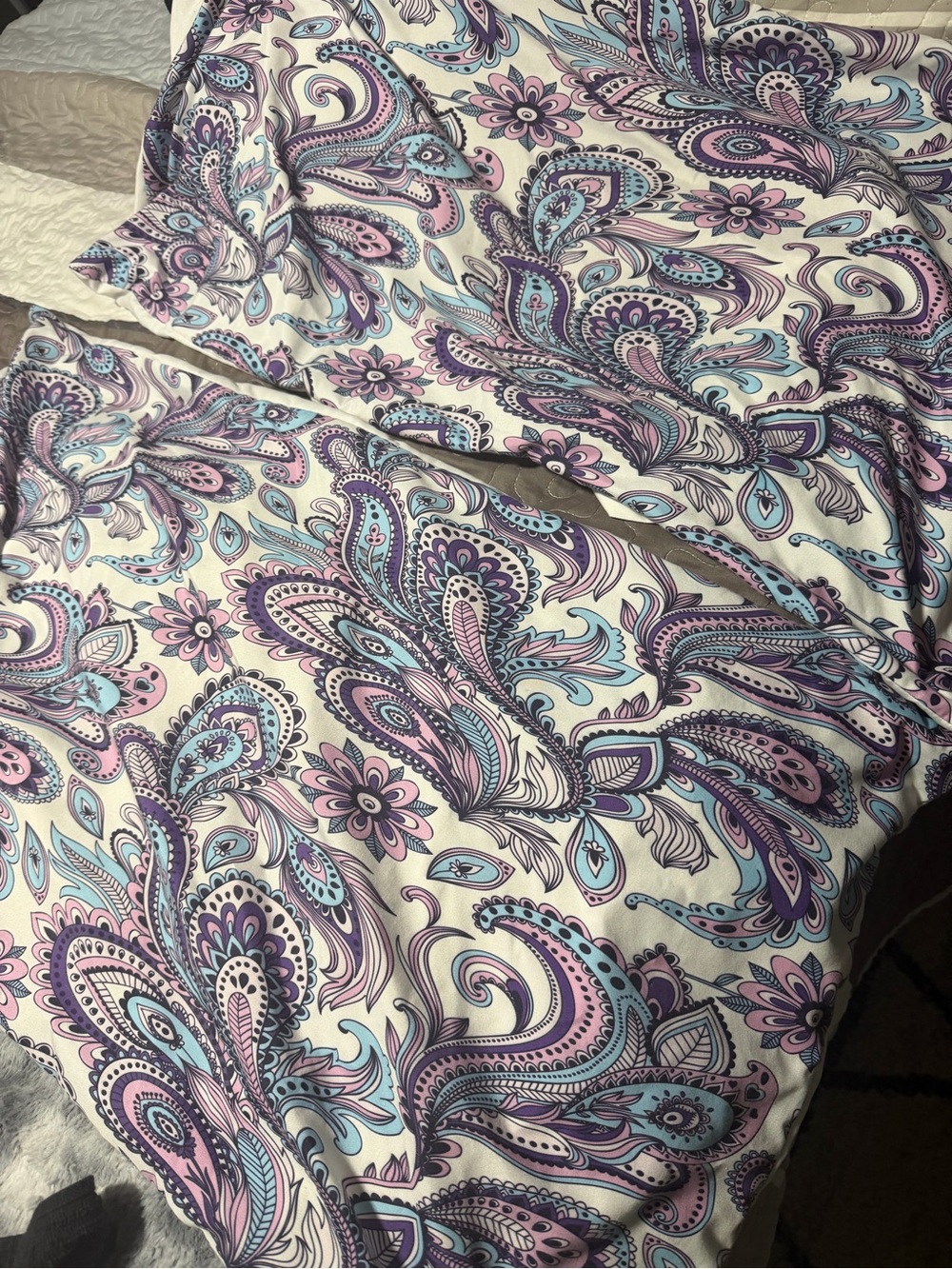 Paisley Pillow Cases